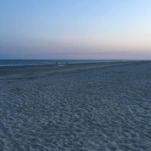 Meet your Posher, Gwen